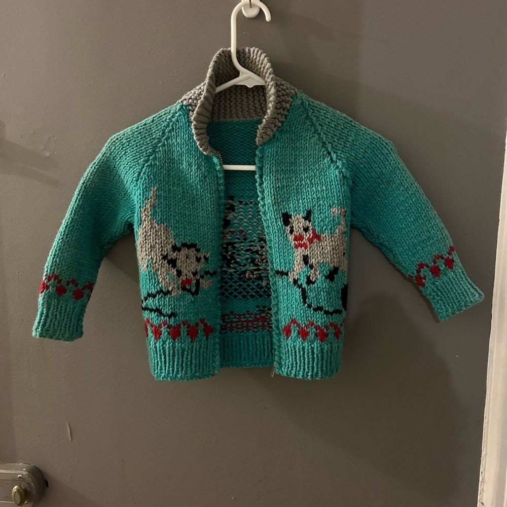 Cowichan sweater toddlers dog puppies Teal and Gray Kids Knit Cardigan